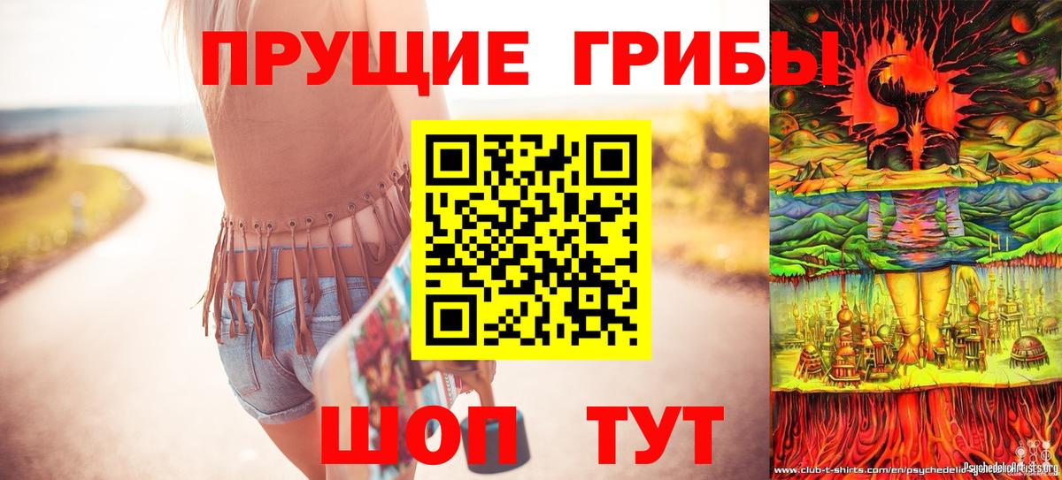 купить закладку  Вход с VPN  Керчь  Галлюциногенные грибы GOLDEN TEACHER 